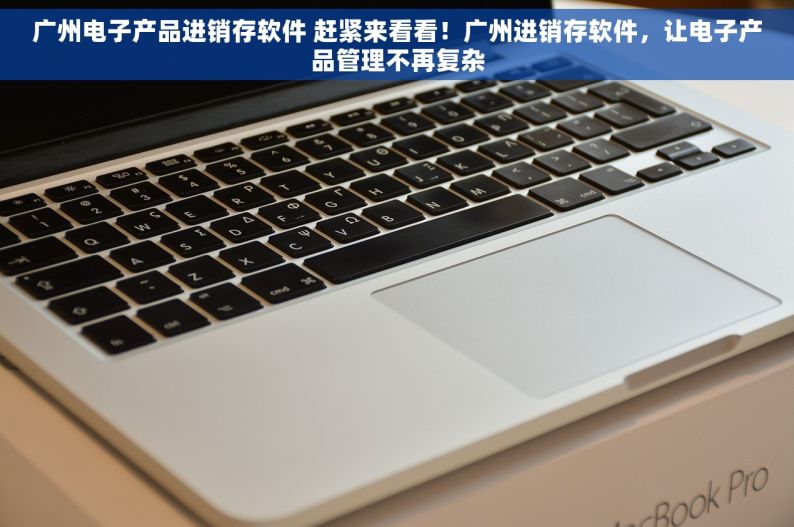广州电子产品进销存软件 赶紧来看看！广州进销存软件，让电子产品管理不再复杂