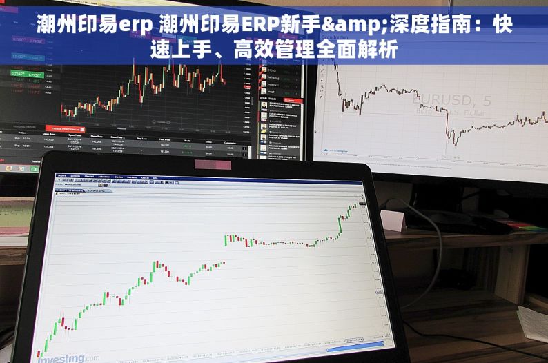 潮州印易erp 潮州印易ERP新手&深度指南：快速上手、高效管理全面解析