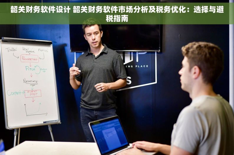 韶关财务软件设计 韶关财务软件市场分析及税务优化：选择与避税指南
