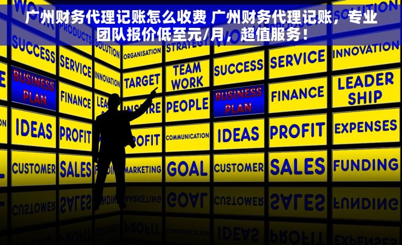 广州财务代理记账怎么收费 广州财务代理记账，专业团队报价低至元/月，超值服务！