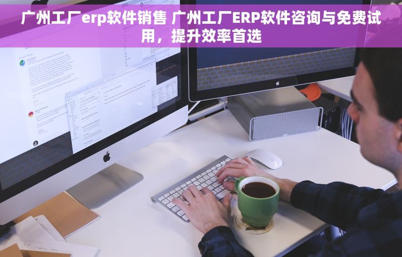 广州工厂erp软件销售 广州工厂ERP软件咨询与免费试用，提升效率首选