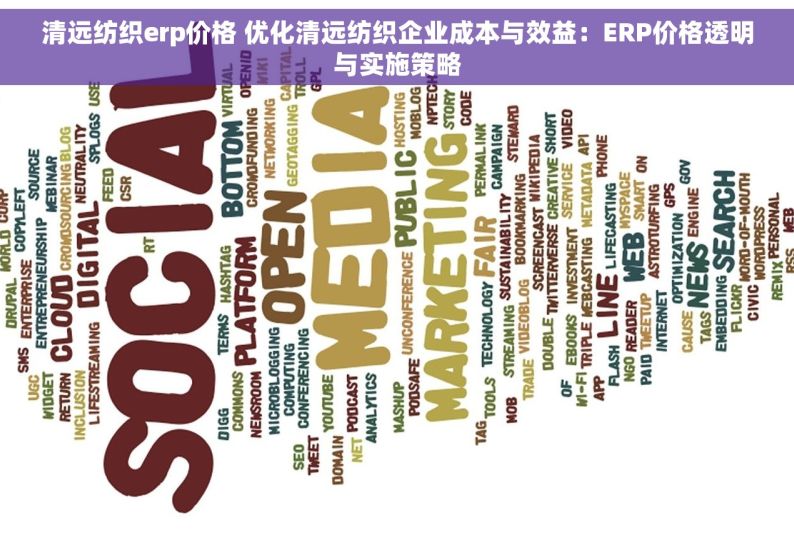 清远纺织erp价格 优化清远纺织企业成本与效益：ERP价格透明与实施策略