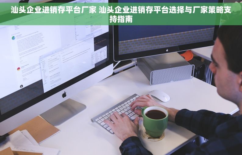 汕头企业进销存平台厂家 汕头企业进销存平台选择与厂家策略支持指南