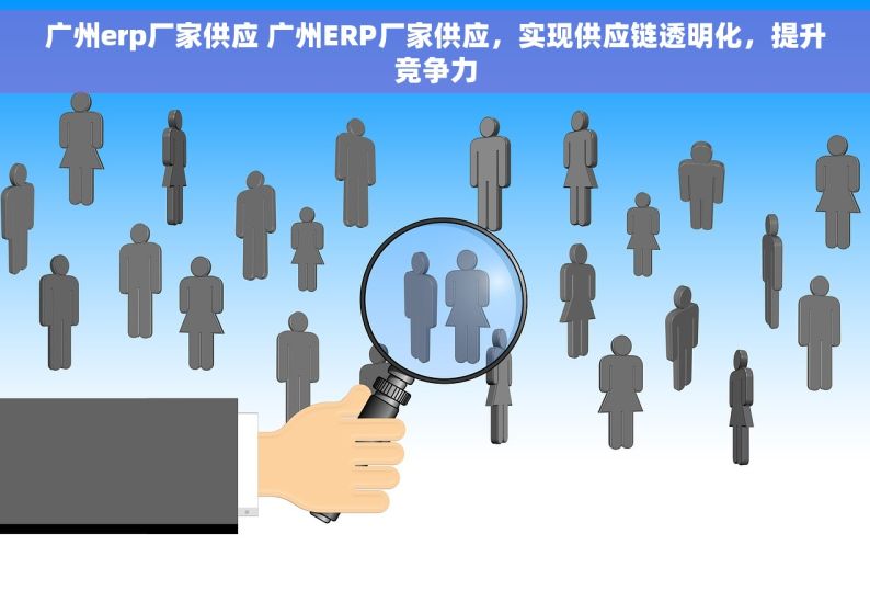 广州erp厂家供应 广州ERP厂家供应，实现供应链透明化，提升竞争力