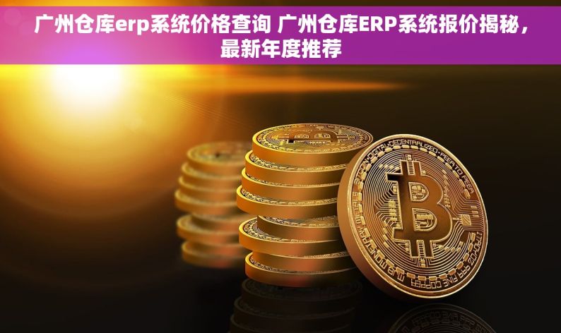 广州仓库erp系统价格查询 广州仓库ERP系统报价揭秘，最新年度推荐