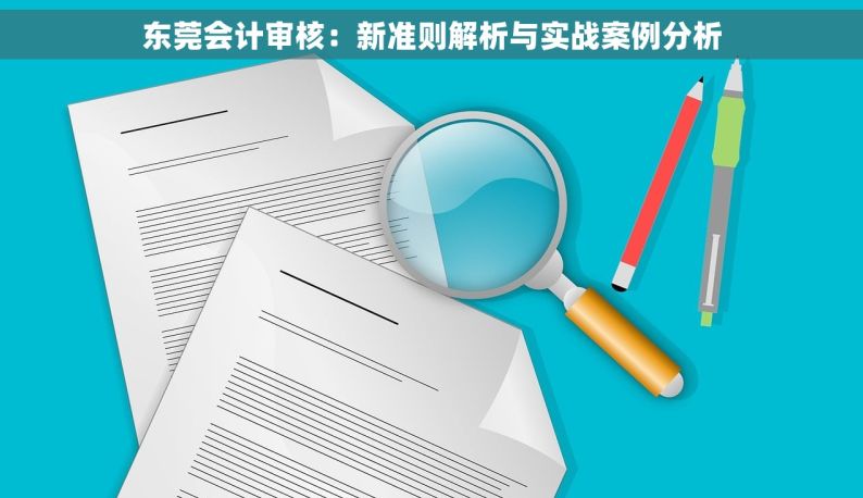 东莞会计审核：新准则解析与实战案例分析