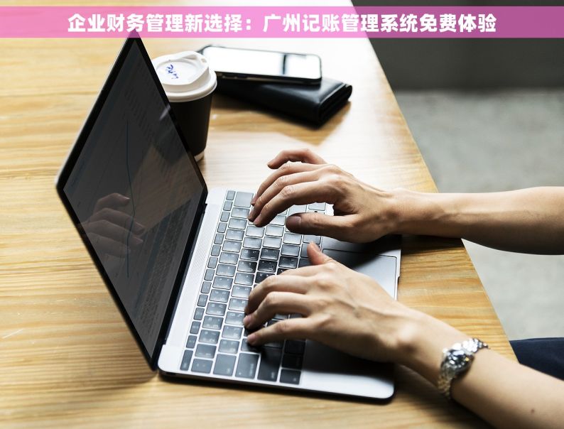 企业财务管理新选择：广州记账管理系统免费体验