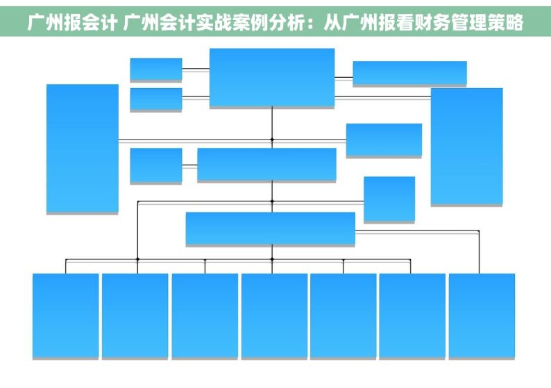 广州报会计 广州会计实战案例分析：从广州报看财务管理策略