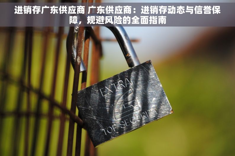 进销存广东供应商 广东供应商：进销存动态与信誉保障，规避风险的全面指南