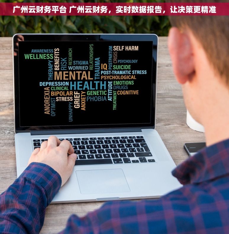 广州云财务平台 广州云财务，实时数据报告，让决策更精准