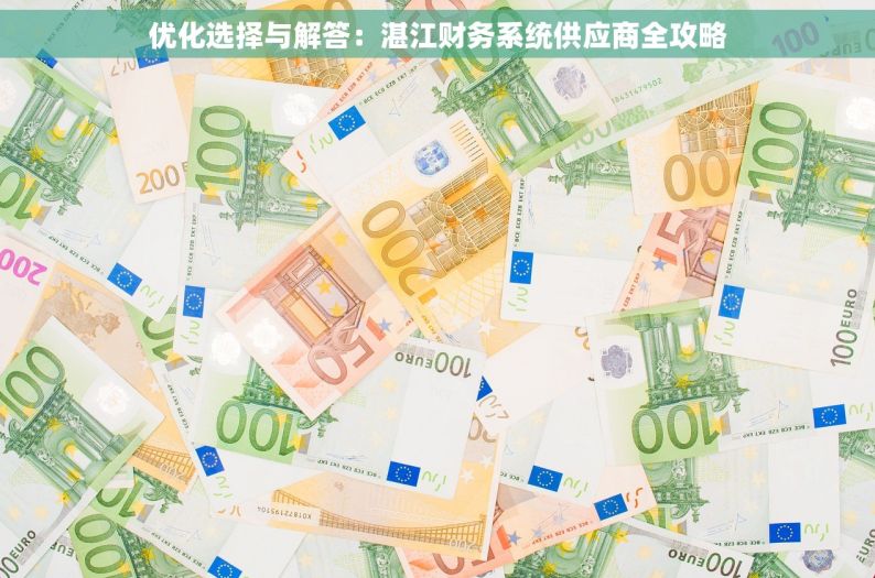 优化选择与解答：湛江财务系统供应商全攻略