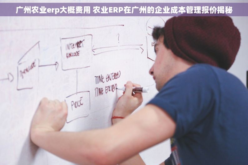 广州农业erp大概费用 农业ERP在广州的企业成本管理报价揭秘