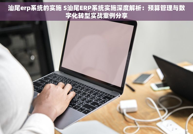 汕尾erp系统的实施 S汕尾ERP系统实施深度解析：预算管理与数字化转型实战案例分享