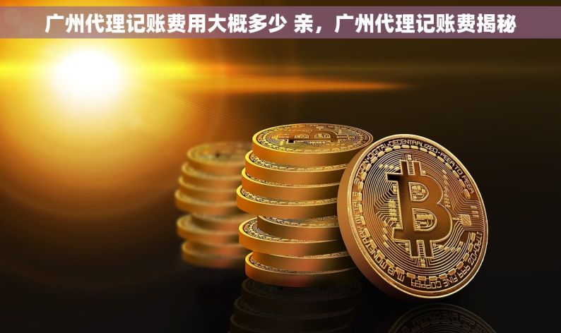 广州代理记账费用大概多少 亲，广州代理记账费揭秘
