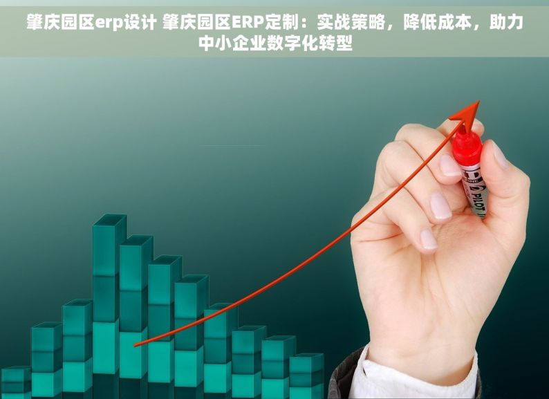 肇庆园区erp设计 肇庆园区ERP定制：实战策略，降低成本，助力中小企业数字化转型