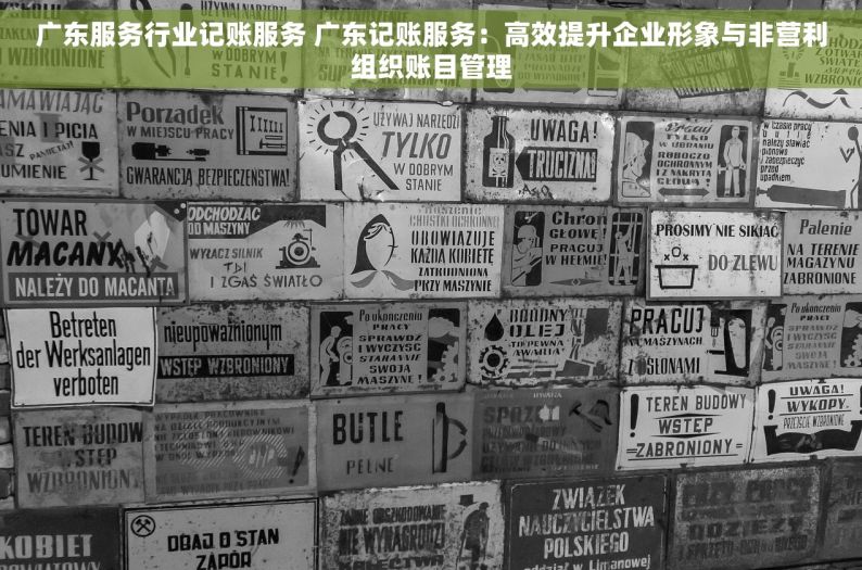 广东服务行业记账服务 广东记账服务：高效提升企业形象与非营利组织账目管理