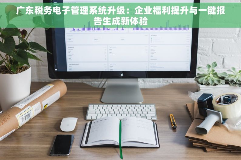 广东税务电子管理系统升级：企业福利提升与一键报告生成新体验
