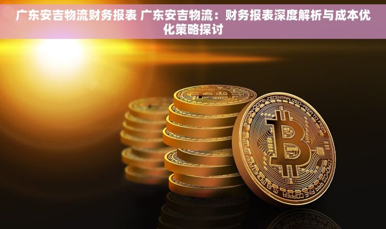 广东安吉物流财务报表 广东安吉物流：财务报表深度解析与成本优化策略探讨