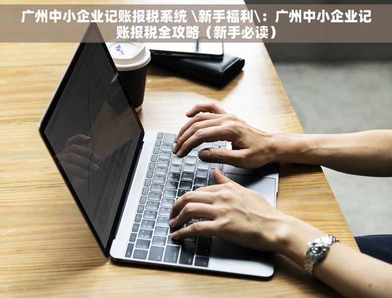 广州中小企业记账报税系统 \新手福利\：广州中小企业记账报税全攻略（新手必读）