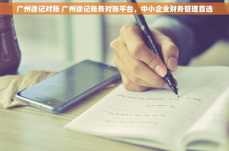 广州徐记对账 广州徐记账务对账平台，中小企业财务管理首选