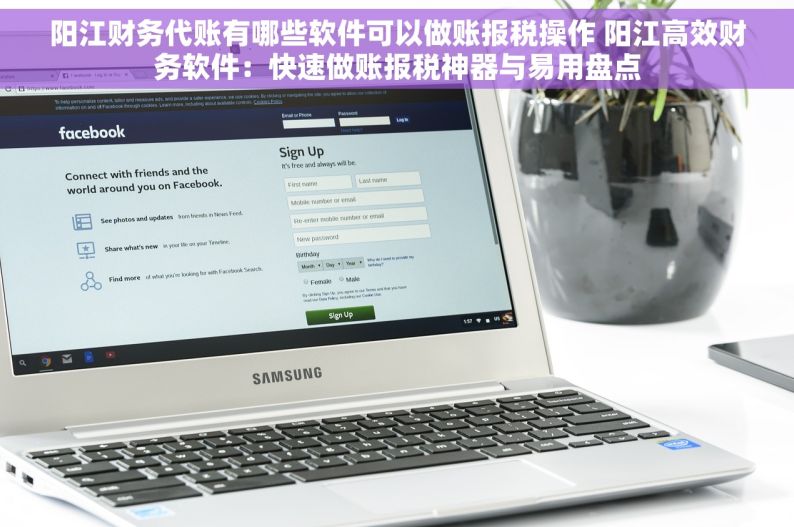 阳江财务代账有哪些软件可以做账报税操作 阳江高效财务软件：快速做账报税神器与易用盘点