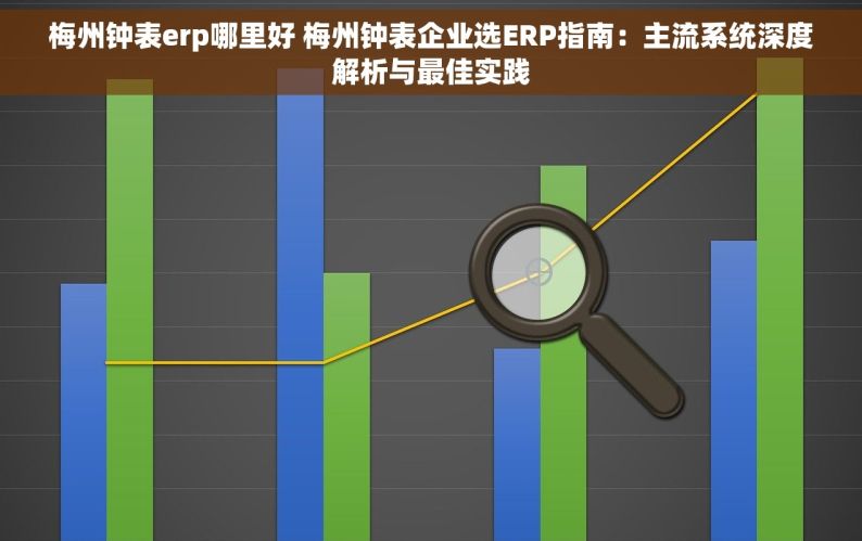 梅州钟表erp哪里好 梅州钟表企业选ERP指南：主流系统深度解析与最佳实践