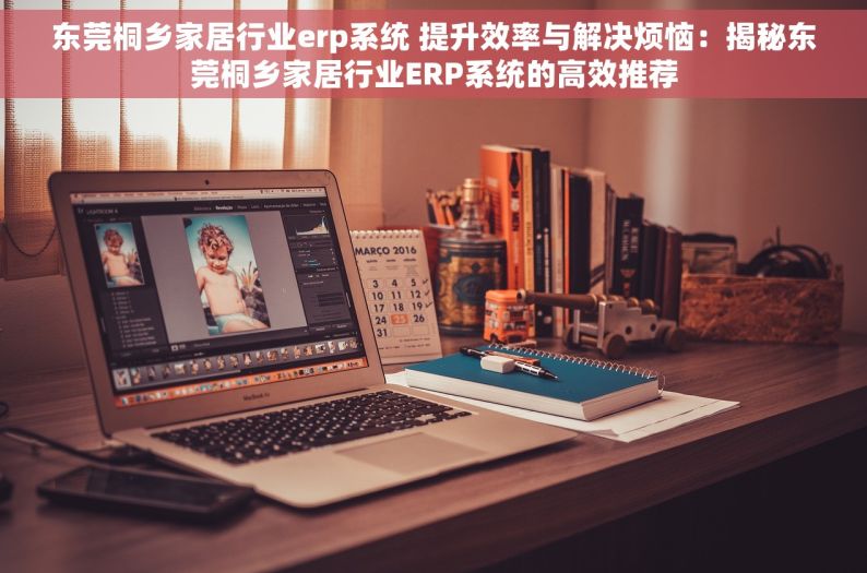 东莞桐乡家居行业erp系统 提升效率与解决烦恼：揭秘东莞桐乡家居行业ERP系统的高效推荐