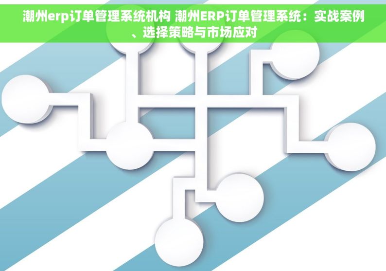 潮州erp订单管理系统机构 潮州ERP订单管理系统：实战案例、选择策略与市场应对