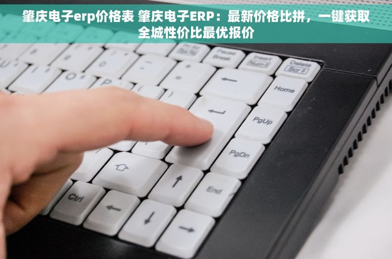 肇庆电子erp价格表 肇庆电子ERP：最新价格比拼，一键获取全城性价比最优报价