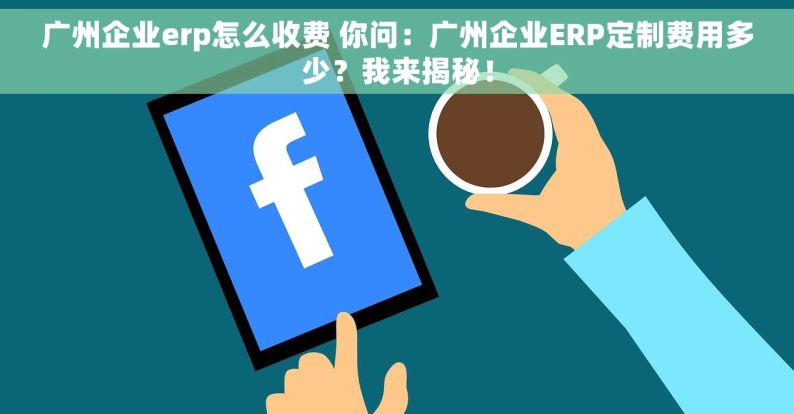 广州企业erp怎么收费 你问：广州企业ERP定制费用多少？我来揭秘！