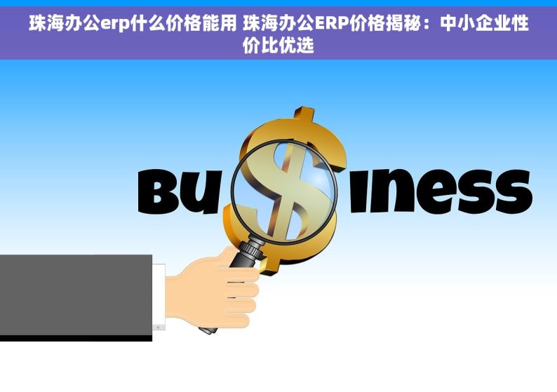珠海办公erp什么价格能用 珠海办公ERP价格揭秘：中小企业性价比优选