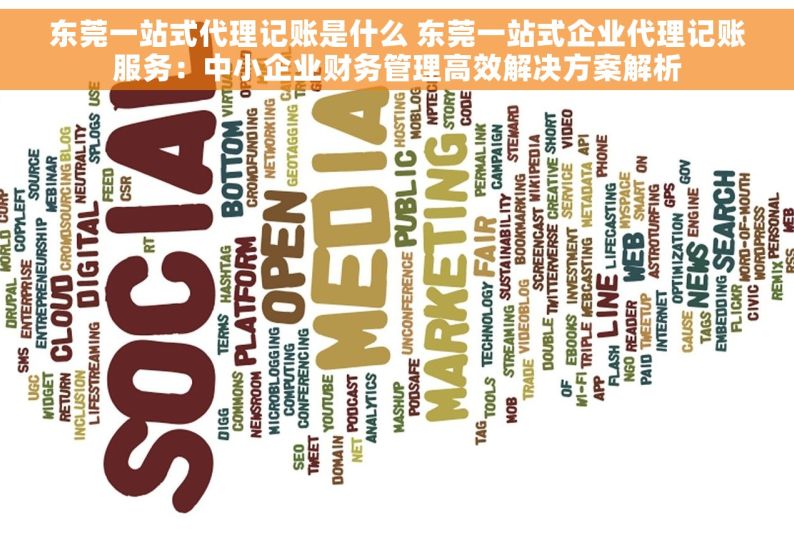 东莞一站式代理记账是什么 东莞一站式企业代理记账服务：中小企业财务管理高效解决方案解析