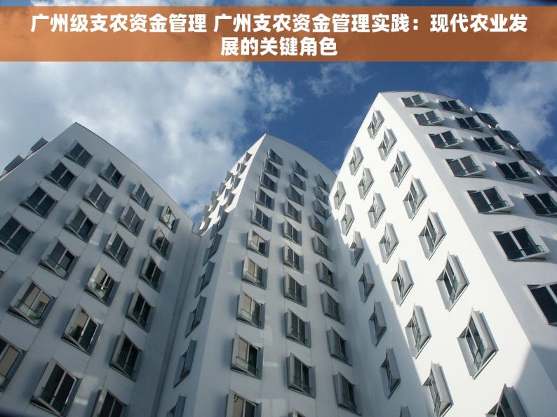 广州级支农资金管理 广州支农资金管理实践：现代农业发展的关键角色