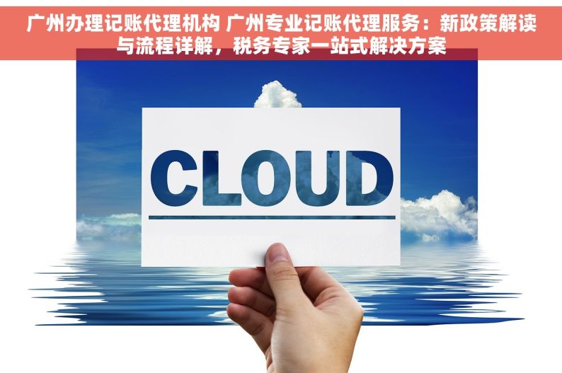 广州办理记账代理机构 广州专业记账代理服务：新政策解读与流程详解，税务专家一站式解决方案