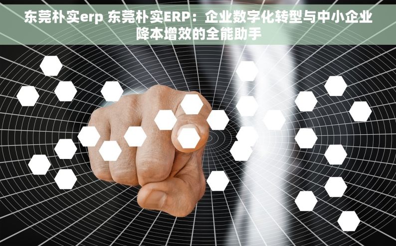 东莞朴实erp 东莞朴实ERP：企业数字化转型与中小企业降本增效的全能助手