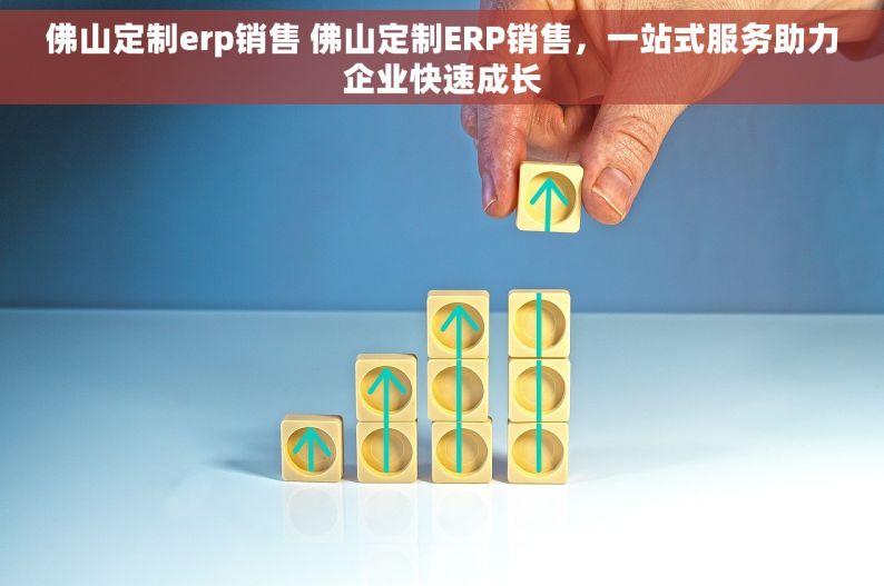佛山定制erp销售 佛山定制ERP销售，一站式服务助力企业快速成长