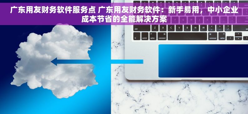 广东用友财务软件服务点 广东用友财务软件：新手易用，中小企业成本节省的全能解决方案