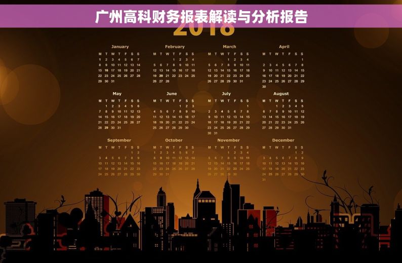 广州高科财务报表解读与分析报告