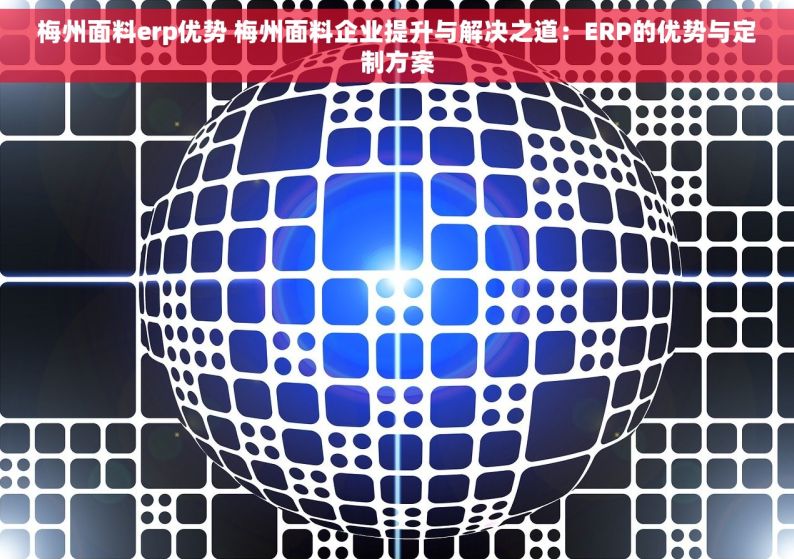梅州面料erp优势 梅州面料企业提升与解决之道：ERP的优势与定制方案