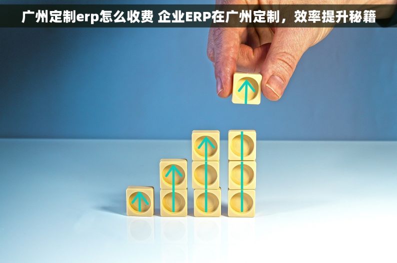 广州定制erp怎么收费 企业ERP在广州定制，效率提升秘籍