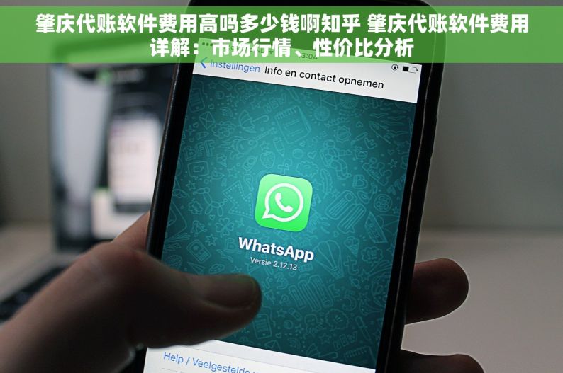 肇庆代账软件费用高吗多少钱啊知乎 肇庆代账软件费用详解：市场行情、性价比分析
