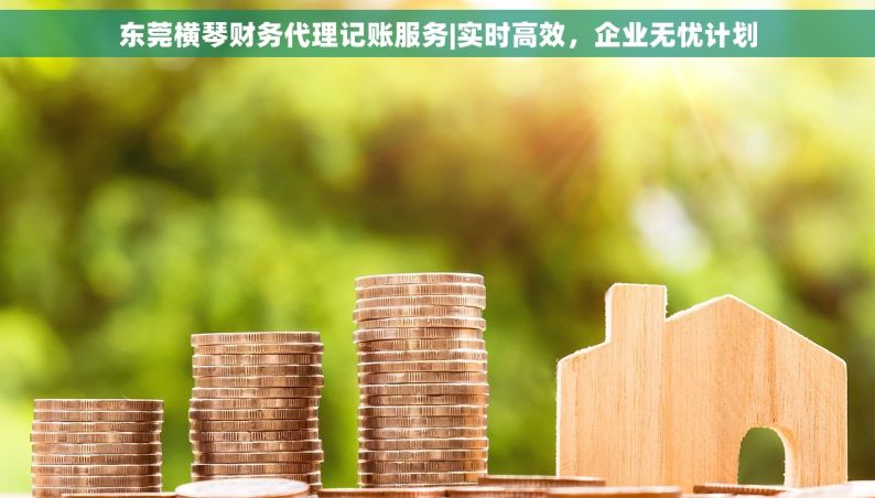东莞横琴财务代理记账服务|实时高效，企业无忧计划