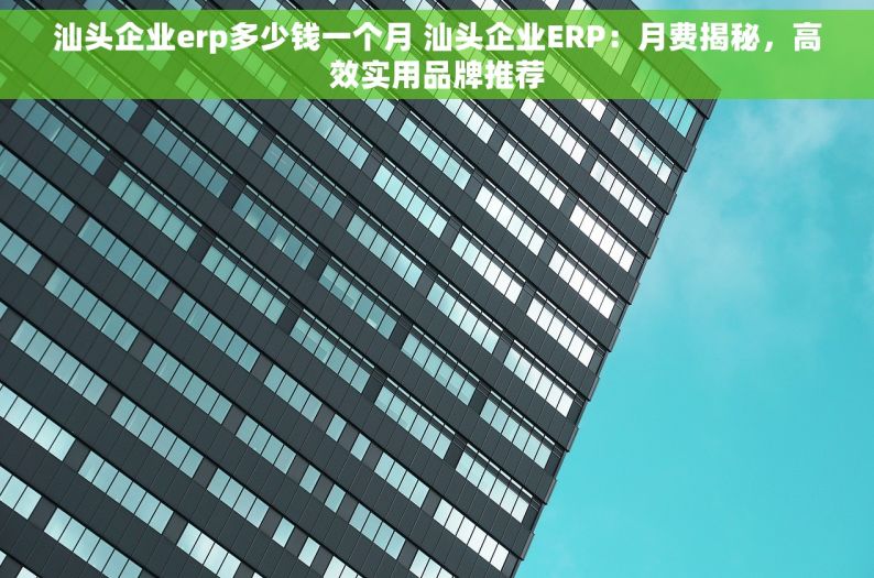 汕头企业erp多少钱一个月 汕头企业ERP：月费揭秘，高效实用品牌推荐