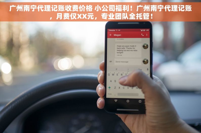 广州南宁代理记账收费价格 小公司福利！广州南宁代理记账，月费仅XX元，专业团队全托管！
