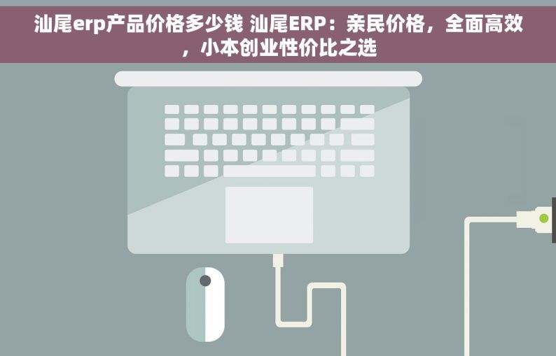 汕尾erp产品价格多少钱 汕尾ERP：亲民价格，全面高效，小本创业性价比之选