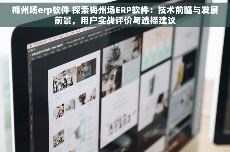 梅州场erp软件 探索梅州场ERP软件：技术前瞻与发展前景，用户实战评价与选择建议