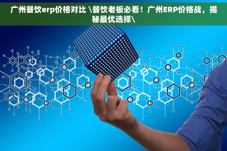 广州餐饮erp价格对比 \餐饮老板必看！广州ERP价格战，揭秘最优选择\
