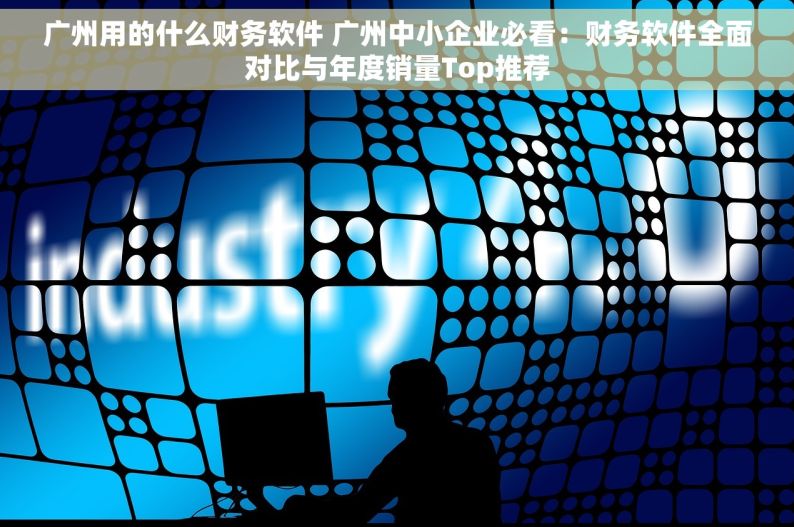 广州用的什么财务软件 广州中小企业必看：财务软件全面对比与年度销量Top推荐