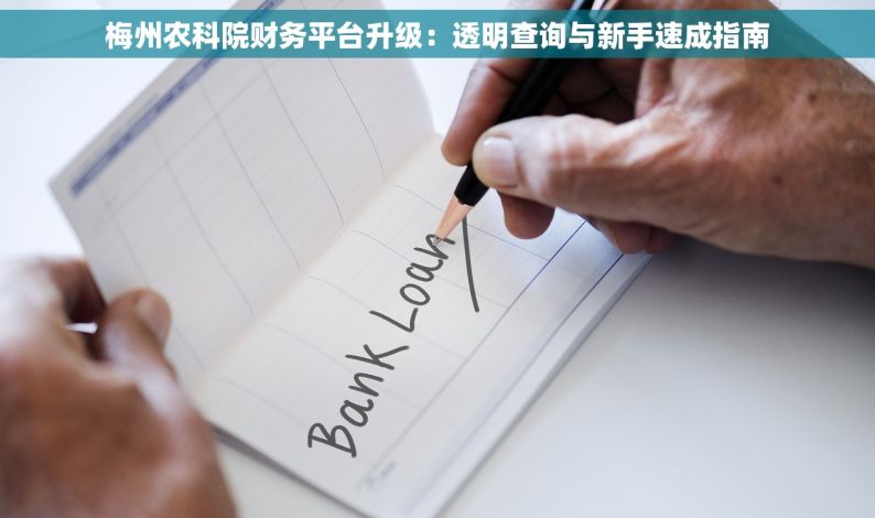 梅州农科院财务平台升级：透明查询与新手速成指南