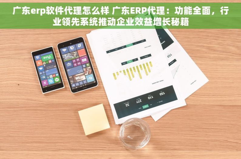 广东erp软件代理怎么样 广东ERP代理：功能全面，行业领先系统推动企业效益增长秘籍